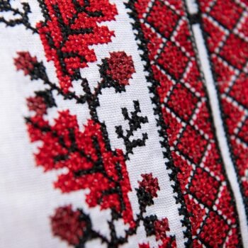 470118193 001 image 3