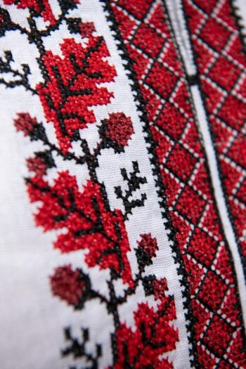 470118193 001 image 3