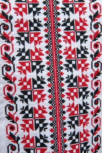 470138193 001 image 3